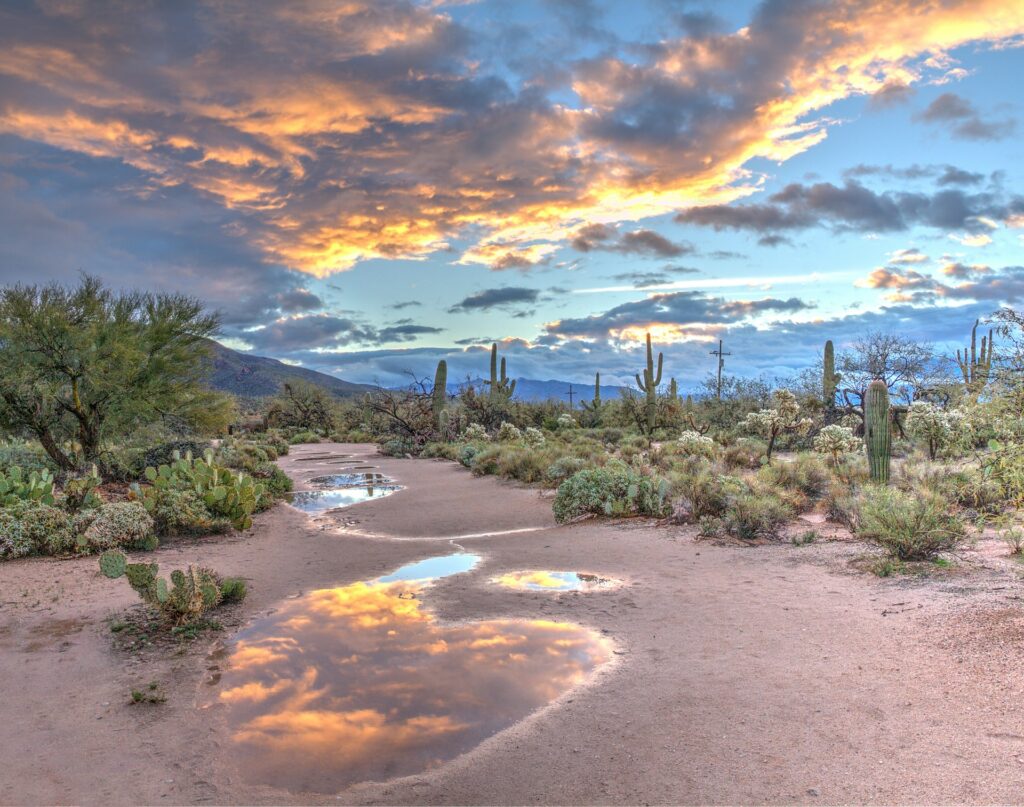 Arizona Psychologist License Requirements Arizona Psychologist License Requirements