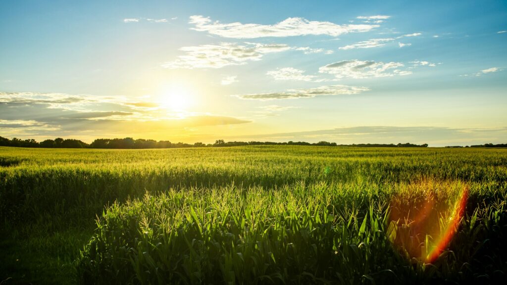 How to Become a Psychologist in Iowa How to Become a Psychologist in Iowa