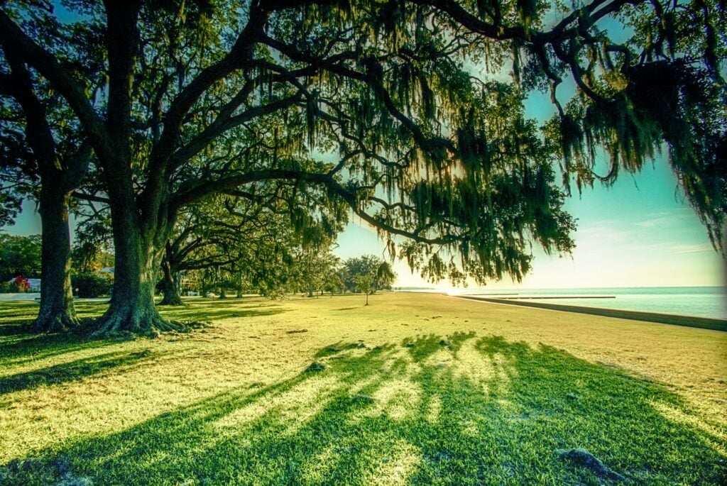 How to Become a Psychologist in Louisiana How to Become a Psychologist in Louisiana