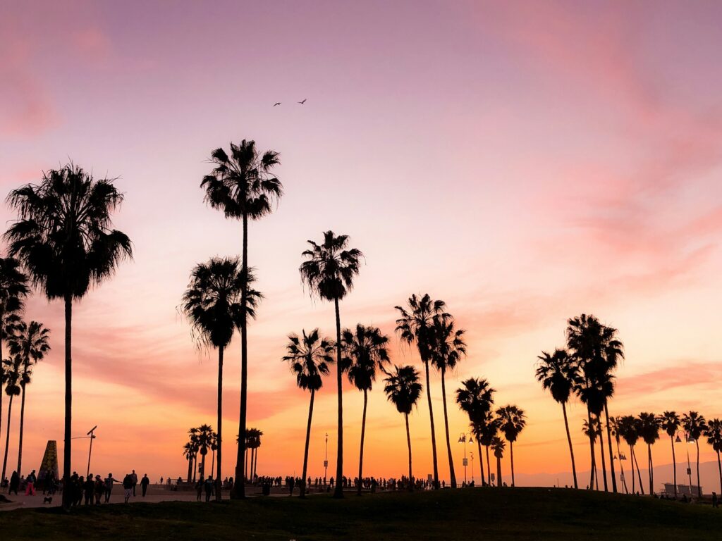 How to Get Your Psychologist License in California How to Get Your Psychologist License in California