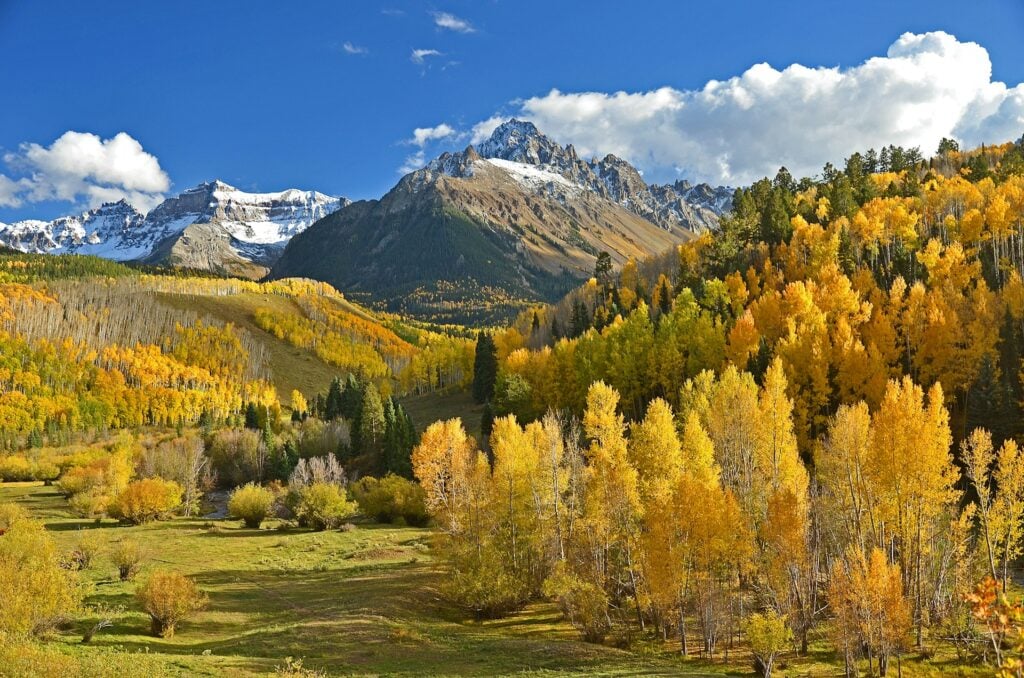 How to Get Your Psychology License in Colorado How to Get Your Psychology License in Colorado