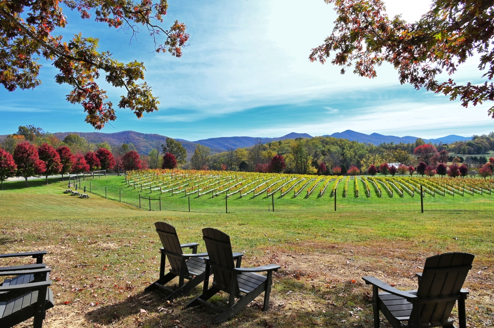 Best Psychology Masters Programs in Virginia