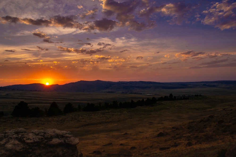 Top Accredited Masters and PhD in Psychology Programs in Wyoming