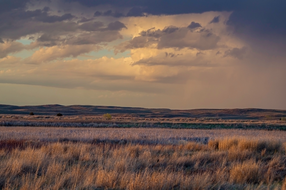 Top Accredited Masters in Psychology Programs in Nebraska