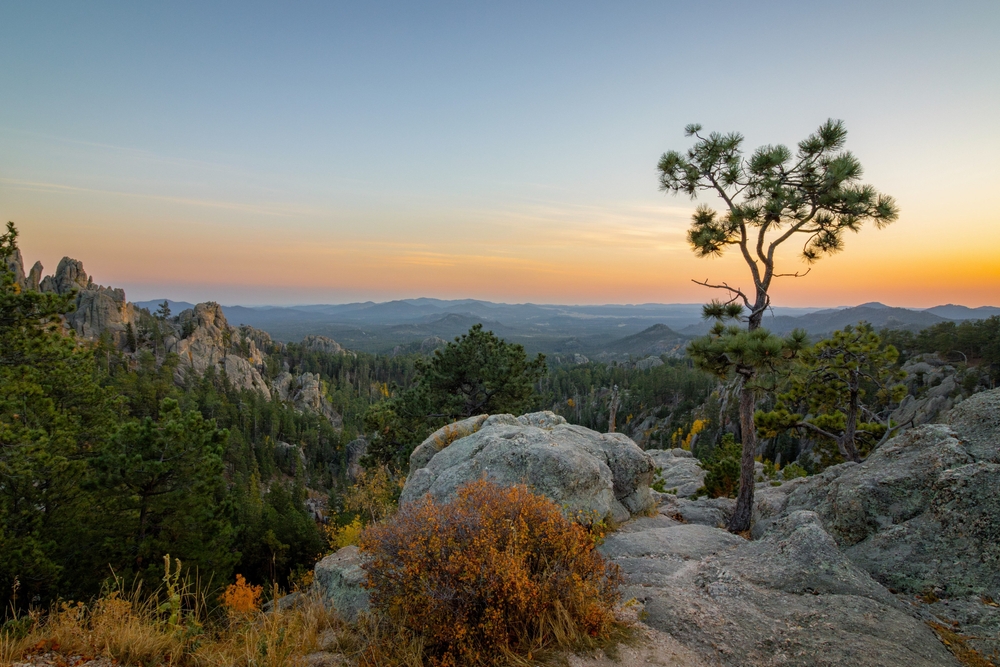Top Accredited Masters in Psychology Programs in South Dakota