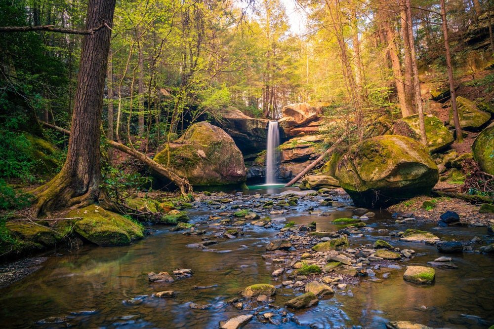 Top Masters in Psychology Programs in Kentucky
