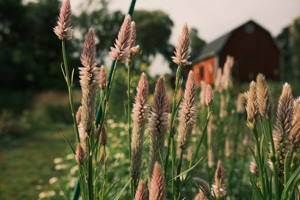 Top-Rated Masters in Psychology Programs in Wisconsin Top-Rated Masters in Psychology Programs in Wisconsin